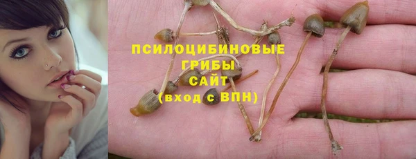 стаф Балабаново