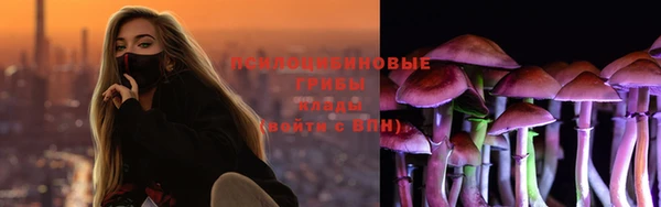 метадон Арсеньев