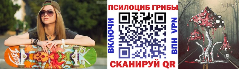 Галлюциногенные грибы мицелий  Кировск 